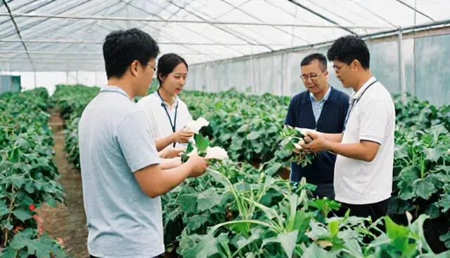 农产品渠道合作中两种适用条件的比较与取舍